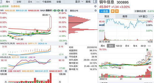 底部周線放出巨量的個股名單 聚焦信息系統集成服務板塊